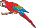 Parrot Royalty Free Vector Image - VectorStock